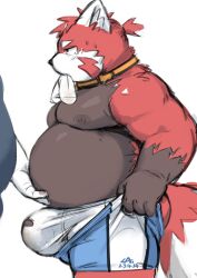 2023 absurd_res ailurid anthro belly belly_grab big_belly black_body bodily_fluids bulge cai1448331577 clothing duo genitals hi_res kemono male mammal moobs nipples overweight overweight_male penis red_body red_panda solo_focus tears underwear