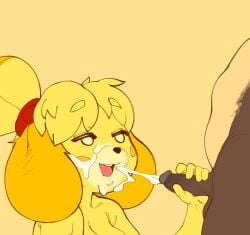 animal_crossing anthro balls blonde_hair bodily_fluids brother brother_and_sister canid canine canis cum cum_on_face cumshot digby_(animal_crossing) domestic_dog duo ejaculation erection female genital_fluids genitals hair handjob hi_res incest isabelle_(animal_crossing) male male/female mammal multicolored_body nintendo nude open_mouth penile penis sex shih_tzu sibling sister toy_dog two_tone_body wizbird yellow_body