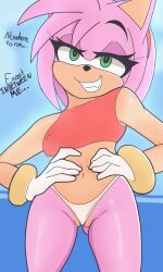 amy_rose anthro camel_toe clothing eulipotyphlan female fur green_eyes hands_on_hips hedgehog hi_res mammal navel nipple_outline pink_body pink_fur sega sh1vss solo sonic_(series) sonic_the_hedgehog_(series) thong underwear