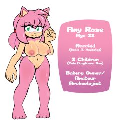 1girls 4_toes aged_up amy_rose anthro big_breasts breasts character_sheet completely_nude completely_nude_female ear_piercing english_text eulipotyphlan feet female female_only full_body genitals hedgehog hi_res hyoumaru large_breasts mammal mature_female naked naked_female nipples nude nude_female piercing pussy sega solo solo_female sonic_(series) sonic_the_hedgehog_(series) text toes