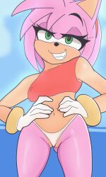 amy_rose anthro camel_toe clothing female fur green_eyes hands_on_hips hi_res mammal navel nipple_outline pink_body pink_fur sega sh1vss solo sonic_(series) sonic_the_hedgehog_(series) thong underwear