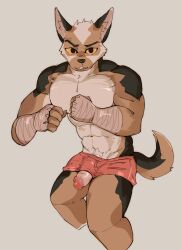 1boy abs anthro anthro_only athletic boxers_(clothing) canid canine clothing genitals hi_res leborkss male male/male male_only mammal muscular muscular_male pecs peeking_penis penis solo teasing underwear