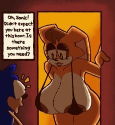 analognsfw big_breasts blue_fur bra breasts female fur furry hair hedgehog height_difference male mammal nipples orange_fur rabbit sagging_breasts sega sonic_(series) sonic_the_hedgehog sonic_the_hedgehog_(series) surprised thick_thighs vanilla_the_rabbit