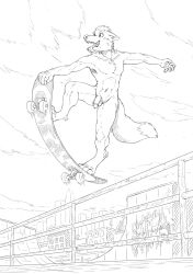 anthro balls building canid canine canis city cloud dipingxiangtr.d flaccid genitals graffiti hi_res holding_object male mammal motion_lines nude penis railing skate_park skateboard skateboard_trick skateboarding skyscraper solo wolf