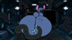 2023 after_anal alien ambiguous_fluids animated anthro anus ass backsack balls big_ass big_butt big_ears black_eyes black_tentacles blue_body blue_fur blurred_background blush digital_media_(artwork) disney experiment_(lilo_and_stitch) eyebrows fur gaping gaping_anus gay genitals head_tuft huge_ass huge_butt leg_grab lilo_and_stitch looking_back loop male male_only mask mertvykhcrows notched_ear penis pixel_(artwork) pixel_animation restrained short_playtime short_tail solo spots spotted_body spotted_fur stitch stitch_(lilo_and_stitch) tail tentacle tuft