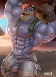 abs anatid anseriform anthro avian big_bulge bird bulge clothed clothing detailed_bulge disney duck ducktales hi_res launchpad_mcquack male male_only muscular solo topless wintech3112