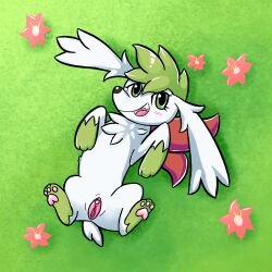 1:1 blush canid canine digital_media_(artwork) female feral fur generation_4_pokemon genitals hair hi_res legendary_pokemon looking_at_viewer mammal nintendo nude open_mouth paws pokemon pokemon_(species) presenting presenting_pussy pussy shaymin sky_forme_shaymin smile solo spread_legs spreading suplosers tail white_body white_fur wings