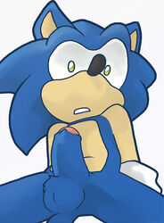 anthro color emerald_physics erection front_view fur furry hedgehog male male_only nude penis solo sonic_(series) sonic_the_hedgehog tagme