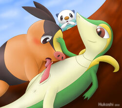 hukoshi nintendo oshawott pokemon pokemon_(species) snivy tepig