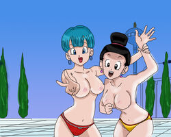 2girls areola breasts bulma_briefs chichi day dragon_ball dragon_ball_z female female_only front_view human kami's_lookout multiple_females multiple_girls nipples outdoors pale_skin panties standing tagme topless