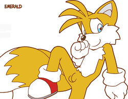 anthro canine color emerald_physics fox fur furry gloves male male_only nude sitting smile solo sonic_(series) tagme tails