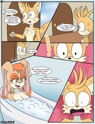 anthro anthro_on_anthro anthro_only comic fox luckster1234 luxxxi milf mother older_female older_woman_and_younger_boy page_1 rabbit sega sonic_(series) sonic_the_hedgehog_(series) tagme tails vanilla_the_rabbit younger_male