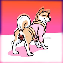 1:1 anatomically_correct anatomically_correct_genitalia anatomically_correct_pussy animal_genitalia animal_pussy anus ass blush canid canine canine_genitalia canine_pussy canis clothed clothed_feral clothing curled_tail digital_media_(artwork) domestic_dog female feral fluffy fluffy_tail fur genitals hdoge_(artist) jacket looking_at_viewer mammal orange_eyes panama_(hdoge) presenting presenting_hindquarters presenting_pussy pussy shiba_inu simple_background solo spitz tail tan_body tan_fur topwear white_body white_fur