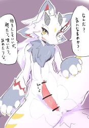 alpheliene animal_genitalia anthro aroused dragon fur furred_dragon genital_slit genitals hi_res japanese_text male neck_tuft penis presenting_slit slit solo speech_bubble spread_legs spreading text tuft wingless_dragon