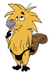 angry_beavers anthro beaver bulge clothing crotch_bulge front_view male male_only nickelodeon norbert solo standing tagme toony topless wolfblade