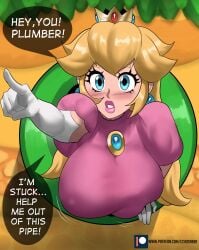 1girls big_breasts blonde_hair blue_eyes breasts echosaber english_text female female_only light_skinned_female madagascar_(series) mario_(series) meme nintendo pipes pointing princess princess_peach solo speech_bubble stuck stuck_in_pipe stuck_in_wall super_mario_bros. text through_wall warp_pipe you_higher_mammal