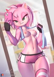 2023 2d amy_rose areola areolae artist_name artist_signature ass_visible_through_thighs breasts cellphone digital_media_(artwork) eyelashes female female_only furry furry_only gloves green_eyes gym_shorts hair inside navel nipples pakwan008 patreon_logo patreon_url pink_body pink_hair sega selfie shorts small_breasts solo sonic_(series) standing tagme topless towel towel_around_neck url white_sclera