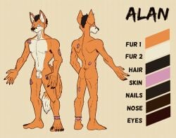 2023 alan_(traceur) anthro areola armpit_hair ass balls biped body_hair brown_hair brown_nose canid canine color_swatch digital_media_(artwork) english_text eyebrows flaccid fox fur genitals glans hair hi_res humanoid_genitalia humanoid_penis male mammal model_sheet mospy_(artist) nipples nude orange_body orange_fur penis pink_body pink_skin simple_background solo standing tail tan_background tan_body tan_fur text