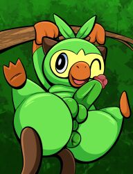 absurd_res anus ass feral feral_only generation_8_pokemon genitals grookey hanging_from_branch hi_res humanoid_genitalia humanoid_penis male male_only nintendo penis plant pokemon pokemon_(species) puffy_anus solo spread_legs spreading tepigfan101 tree