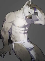 2023 5_fingers abs absurd_res anthro areola arknights clothed clothing erection erection_under_clothing fingers fur grey_background grey_body grey_fur hi_res hyena hypergryph jockstrap jockstrap_only looking_at_viewer male mammal muscular muscular_anthro muscular_male pluto08010511 pu94_d1de4c simple_background solo spot_(arknights) spots spotted_body spotted_fur spotted_hyena studio_montagne topless underwear underwear_only