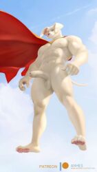 1boy abs anhes anthro ballsack big_penis canine cape domestic_dog humanoid krypto krypto_the_superdog male_only muscular muscular_male penis solo