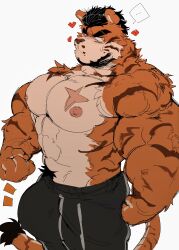 abs absurd_res akachionmain anthro big_biceps big_bulge big_muscles black_eyebrows black_hair black_stripes bulge countershading ellipsis eyebrows felid feline fluffy fur hair heart hi_res huge_bulge huge_muscles looking_at_viewer male male_only mammal muscular muscular_anthro muscular_male nipples orange_body orange_fur pantherine pecs scar simple_background solo speech_bubble stripes sweat sweatdrop sweatpants tail tan_body tan_countershading thick_eyebrows tiger white_background