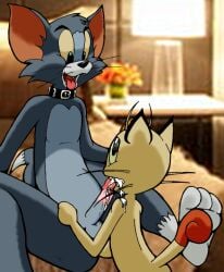 anthro choker crossover cum erect_penis feline furry koban_(coin) meowth oral oral_sex photoshop pokémon_(species) pokemon tail tom_and_jerry tom_cat toonpimp whiskers