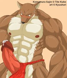 1boy bleach blush erection fox fundoshi furry furry_only kyuuhari male male_only muscles penis precum sajin_komamura solo