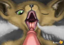 ambiguous_gender animal_genitalia animal_penis anthro avisheart brown_body brown_fur canid canine duo erection faceless_character faceless_male fellatio fennec fluffy fox fur genitals green_eyes hi_res inner_ear_fluff male mammal open_mouth oral penile penis sex teeth tongue tongue_out tuft white_body white_fur