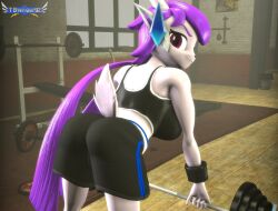 3d female freedom_planet freedom_planet_2 galaxytrail sash_lilac solo tbwinger92 workout