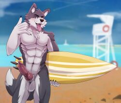 anthro balls barazoku beach blush bodily_fluids canid canine canis digital_media_(artwork) domestic_dog erection fur genitals kemono knot looking_at_viewer male mammal muscular muscular_anthro muscular_male nude pecs penis seaside solo surfboard tongue vitaly_(artist)