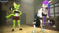 3d carol_tea freedom_planet freedom_planet_2 galaxytrail sash_lilac tbwinger92 workout