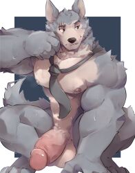 absurd_res anthro balls beastars big_muscles big_penis bodily_fluids canid canine canis crouching eye_scar facial_scar fur furry genitals grey_body grey_fur hi_res humanoid_genitalia humanoid_penis legoshi_(beastars) makowolf1 male male_only mammal muscular muscular_arms necktie nude pecs penis scar smile solo sweat thick_penis wolf