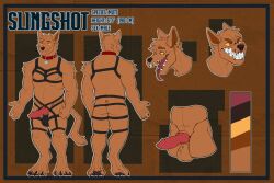 absurd_res canid canine canis domestic_dog hi_res male mammal model_sheet solo_male