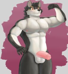 anthro canid canine canis gabeccoon hi_res male male/male mammal oscar_(knights_college) solo wolf