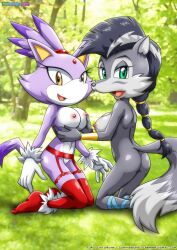 bbmbbf blaze_the_cat breast_grab furry lingerie looking_at_viewer lupe_the_wolf mobius_unleashed palcomix sega sonic_(series) sonic_the_hedgehog_(series) stockings