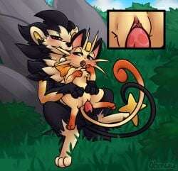 anthro artist_name blushing feline furry grass koban_(coin) larger_male luxray meowth ohmuu pokémon_(species) pokemon pokemon_(species) pussy pussy_juice sex shiny_luxray shiny_pokemon sitting_on_penis smaller_female tail whiskers