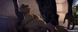 3d alien_(franchise) animated balls bed belly dasharky3d evening fellatio furniture humanoid moon on penis reptile roek_(suchmim) scalie sex smile smiling smiling_at_partner tagme video xenomorph