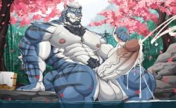 2026 abs anthro balls bamboo bamboo_tree beard biceps big_balls big_penis black_hair blue_body blue_fur bodily_fluids bucket cherry_blossom cherry_blossom_tree cherry_tree claws container cum cum_in_water cum_on_penis deltoids ejaculation eye_scar eyes_closed facial_hair facial_scar felid finger_claws flower foot_in_water forearm_muscles forest fruit_tree fur genital_fluids genitals hair hill hot_spring male mammal multicolored_body multicolored_fur nipples nude onsen outside pantherine pawpads pecs penis plant prunus_(flower) pubes rock scar solo striped_body striped_fur stripes tail tiger tree triceps water white_body white_fur white_hair wolfblack43