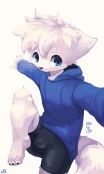 anthro arcticneu bike_shorts blue_eyes bottomwear bulge canid canine clothing detailed_bulge fox fur hair hi_res hoodie male mammal neu_(arcticneu) shorts simple_background solo tight_bottomwear tight_clothing tight_shorts topwear white_background white_body white_fur white_hair young