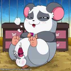 1:1 2023 balls black_body black_fur bodily_fluids breath cage closed_eyes cricetid cum cumshot ejaculation feral feral_only fur genital_fluids genitals hamster hamtaro_(series) legs_up male male_only mammal multicolored_body multicolored_fur open_mouth panda_(hamtaro) panting penile penis rodent sex_toy sky solo sound_effects star starry_sky sweat tapering_penis text twilight url vibrator vibrator_on_penis vorechestra white_body white_fur