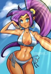 1girls blue_eyes breasts brown_body earrings looking_at_viewer normanthony_07 purple_hair shantae shantae_(character) smooth_skin swimwear tan_body thighs