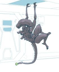 1boy alien alien_(franchise) ball genitals gromdrawing hanging_from_ceiling hi_res male male_only male_xenomorph penis solo tennis_ball xenomorph