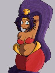 1girls armpits blue_eyes breasts brown_body looking_at_viewer medlinss purple_hair shantae shantae_(character) smiling smiling_at_viewer smooth_skin thighs