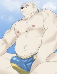 1boy anthro bear belly biceps clothing erection erection_under_clothing eyebrows fur hi_res leib_(tokyo_afterschool_summoners) lifewonders male male_only mammal musclegut navel nipples partially_clothed pecs polar_bear solo speedo swimwear tenting thick_eyebrows tokyo_afterschool_summoners ursine white_body white_fur zenon0917