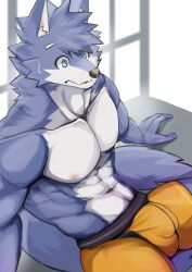 abs anthro asleepchef biceps blue_body blue_eyes briefs bulge canid clothed clothing detailed_bulge hair hi_res male mammal multicolored_body muscular muscular_male navel nipples pecs solo tail underwear underwear_only yakumo_(asleepchef)