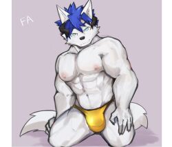 1boy abs anthro asleepchef biceps blue_eyes blue_hair bulge canid clothing detailed_bulge hair hi_res male male_only mammal muscular muscular_male nipples pecs pose simple_background smile solo speedo swimwear tail white_body