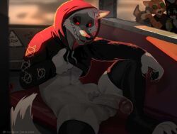 anthro blush death_(puss_in_boots) hood_up hoodie huge_cock kitty_softpaws male_only penis pubic_hair public_nudity puss puss_in_boots_(dreamworks) puss_in_boots_the_last_wish red_eyes skeleion thighhighs undressing white_fur