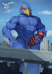 absurd_res anthro avian bird blue_body bodily_fluids censored city erection falco_lombardi genital_fluids genitals headgear hi_res highway kawara_gawara macro male masturbation nintendo penis penis_grab precum solo star_fox togepi1125