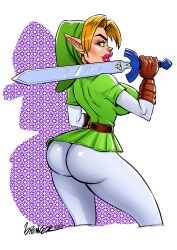 big_lips bimbo bimbo_body bimbo_lips clothed fully_clothed large_breasts light-skinned_female link link_(ocarina_of_time) looking_back master_sword ocarina_of_time pointy_ears rule_63 spencertoons sword tagme the_legend_of_zelda thick_lips tunic